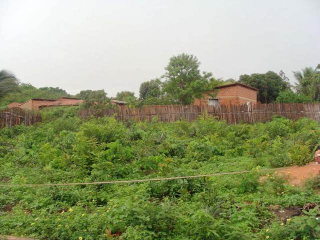 Bau_04